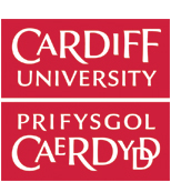 Cardiff University - Computer Science