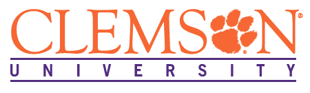 Clemson University - Computing & Information Technolology