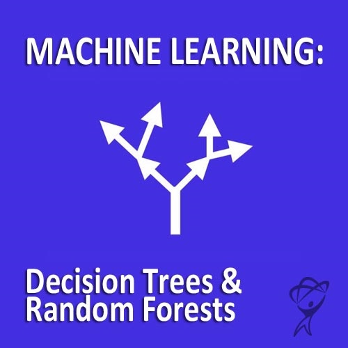 Machine Learning: Decision Trees & Random Forests (12-Month Subscription)