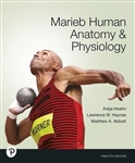 Modified Mastering A&P with Pearson eText for Marieb Human Anatomy & Physiology - 12e - Small product image